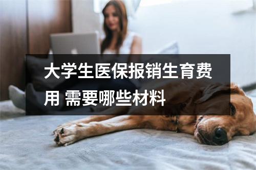 大学生医保报销生育费用 需要哪些材料 