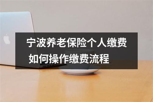 宁波养老保险个人缴费 如何操作缴费流程