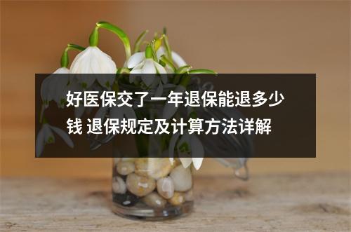 好医保交了一年退保能退多少钱 退保规定及计算方法详解