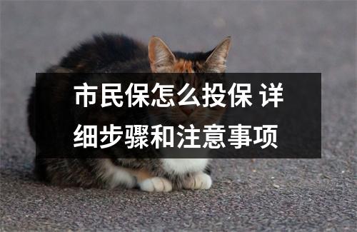 市民保怎么投保 详细步骤和注意事项