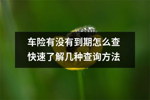 车险有没有到期怎么查 快速了解几种查询方法