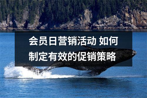 会员日营销活动 如何制定有效的促销策略