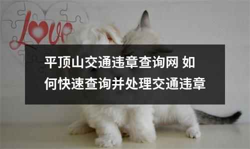 平顶山交通违章查询网 如何快速查询并处理交通违章