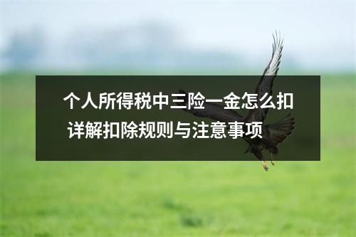 个人所得税中三险一金怎么扣 详解扣除规则与注意事项