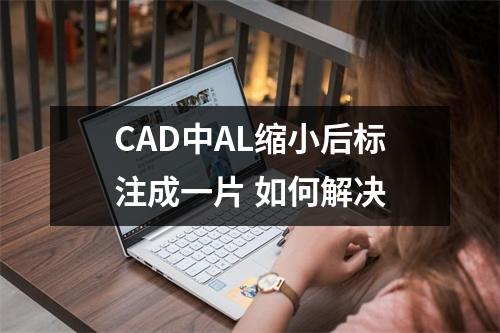 CAD中AL缩小后标注成一片 如何解决