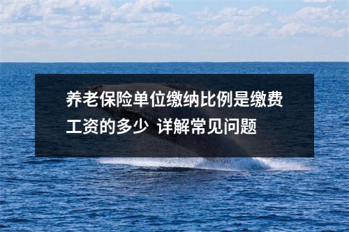 养老保险单位缴纳比例是缴费工资的多少  详解常见问题