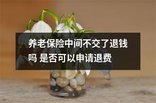 养老保险中间不交了退钱吗 是否可以申请退费