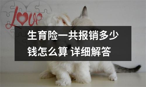 生育险一共报销多少钱怎么算 详细解答