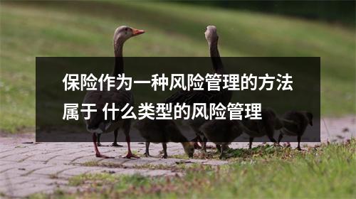 保险作为一种风险管理的方法属于 什么类型的风险管理