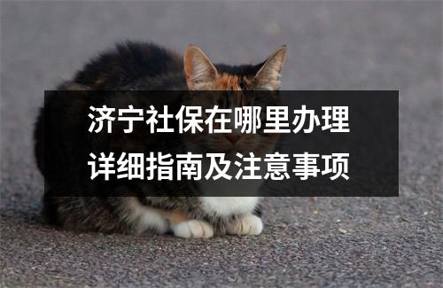 济宁社保在哪里办理 详细指南及注意事项