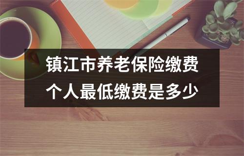 镇江市养老保险缴费个人最低缴费是多少