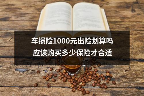 车损险1000元出险划算吗 应该购买多少保险才合适