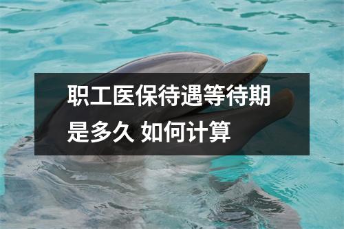 职工医保待遇等待期 是多久 如何计算 
