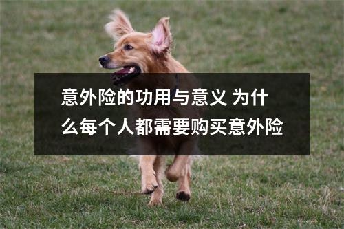 意外险的功用与意义 为什么每个人都需要购买意外险