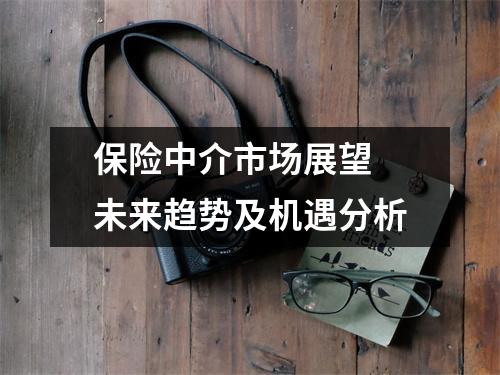 保险中介市场展望 未来趋势及机遇分析