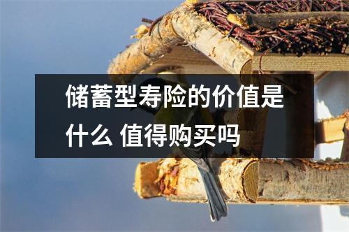 储蓄型寿险的价值是什么 值得购买吗 