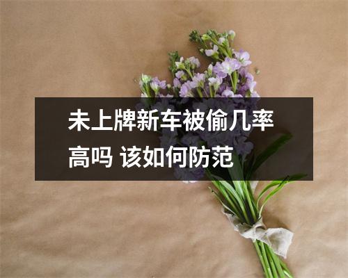 未上牌新车被偷几率 高吗 该如何防范 