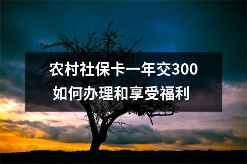 农村社保卡一年交300 如何办理和享受福利