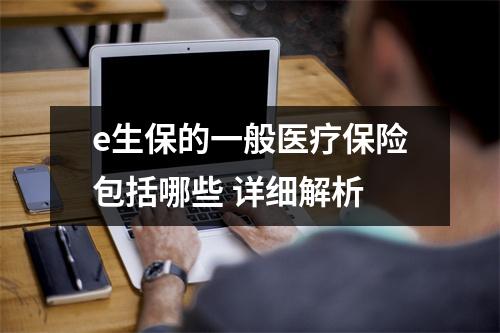 e生保的一般医疗保险包括哪些 详细解析