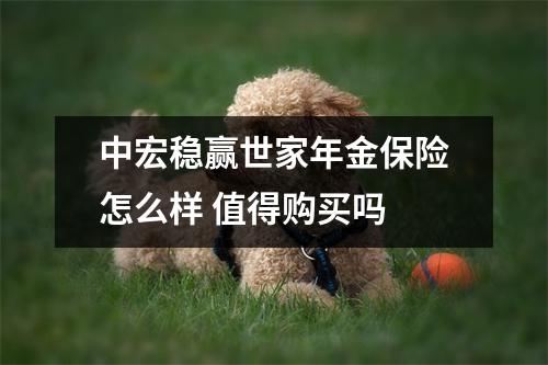中宏稳赢世家年金保险怎么样 值得购买吗 