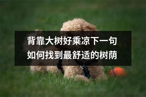 背靠大树好乘凉下一句 如何找到最舒适的树荫