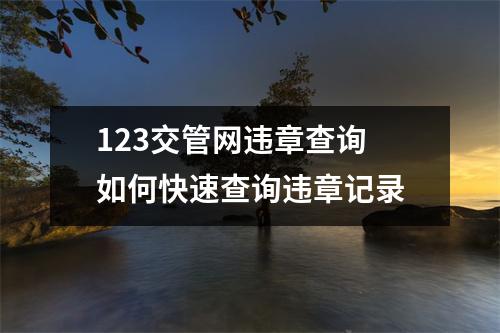 123交管网违章查询 如何快速查询违章记录