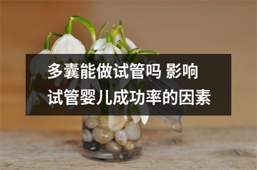 多囊能做试管吗 影响试管婴儿成功率的因素