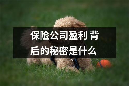 保险公司盈利 背后的秘密是什么