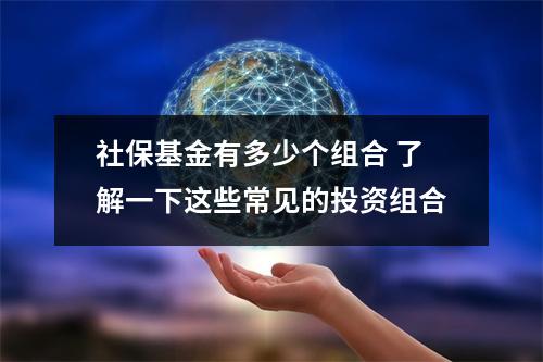 社保基金有多少个组合 了解一下这些常见的投资组合