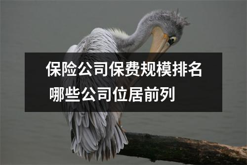 保险公司保费规模排名 哪些公司位居前列 