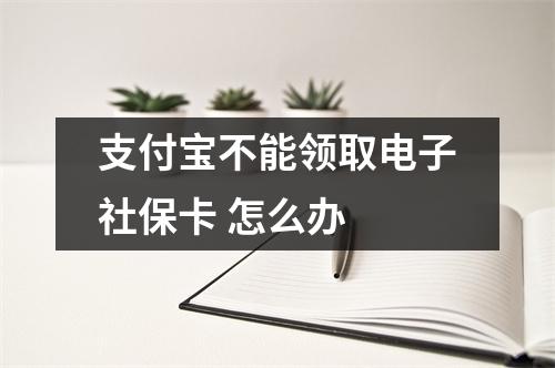 支付宝不能领取电子社保卡 怎么办 
