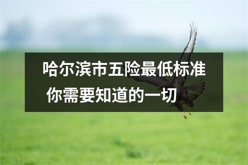 哈尔滨市五险最低标准 你需要知道的一切