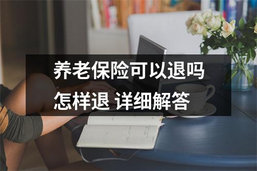 养老保险可以退吗怎样退 详细解答