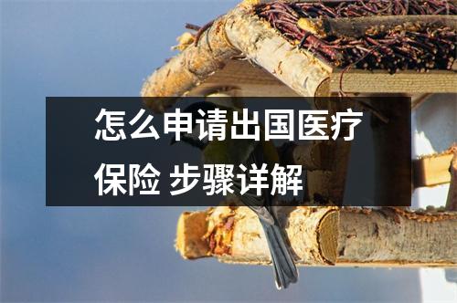 怎么申请出国医疗保险 步骤详解