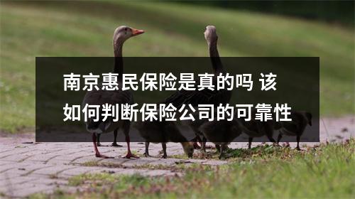 南京惠民保险是真的吗 该如何判断保险公司的可靠性