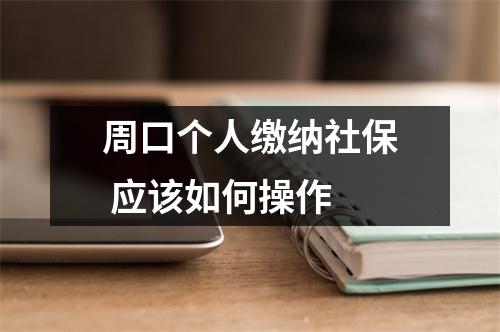 周口个人缴纳社保 应该如何操作 