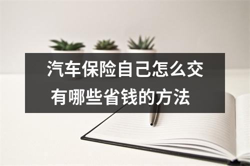 汽车保险自己怎么交 有哪些省钱的方法