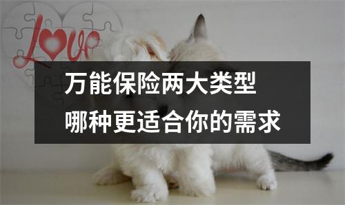 万能保险两大类型 哪种更适合你的需求