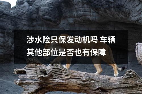涉水险只保发动机吗 车辆其他部位是否也有保障 
