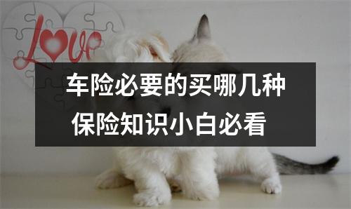 车险必要的买哪几种 保险知识小白必看