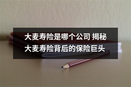 大麦寿险是哪个公司 揭秘大麦寿险背后的保险巨头