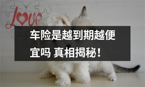 车险是越到期越便宜吗 真相揭秘！