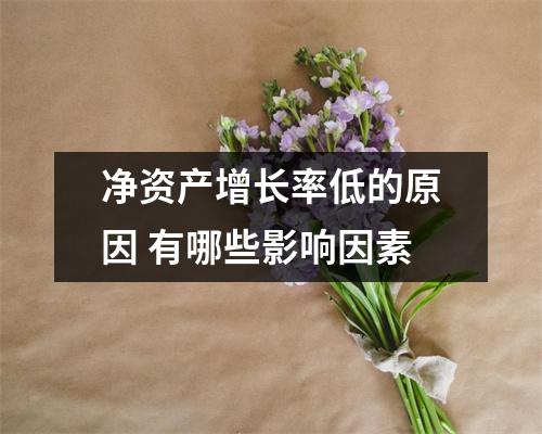 净资产增长率低的原因 有哪些影响因素