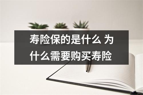 寿险保的是什么 为什么需要购买寿险