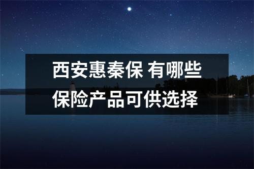 西安惠秦保 有哪些保险产品可供选择