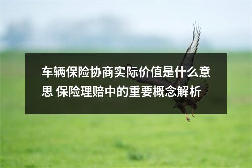 车辆保险协商实际价值是什么意思 保险理赔中的重要概念解析