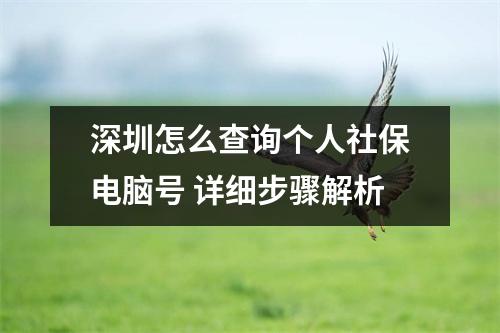 深圳怎么查询个人社保电脑号 详细步骤解析