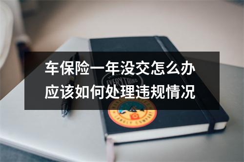 车保险一年没交怎么办 应该如何处理违规情况