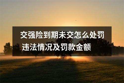 交强险到期未交怎么处罚 违法情况及罚款金额