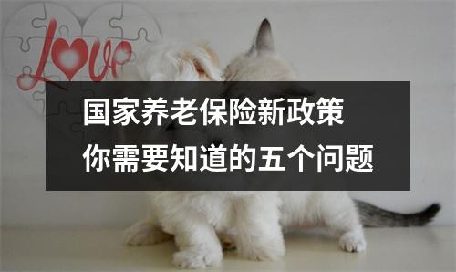 国家养老保险新政策 你需要知道的五个问题
